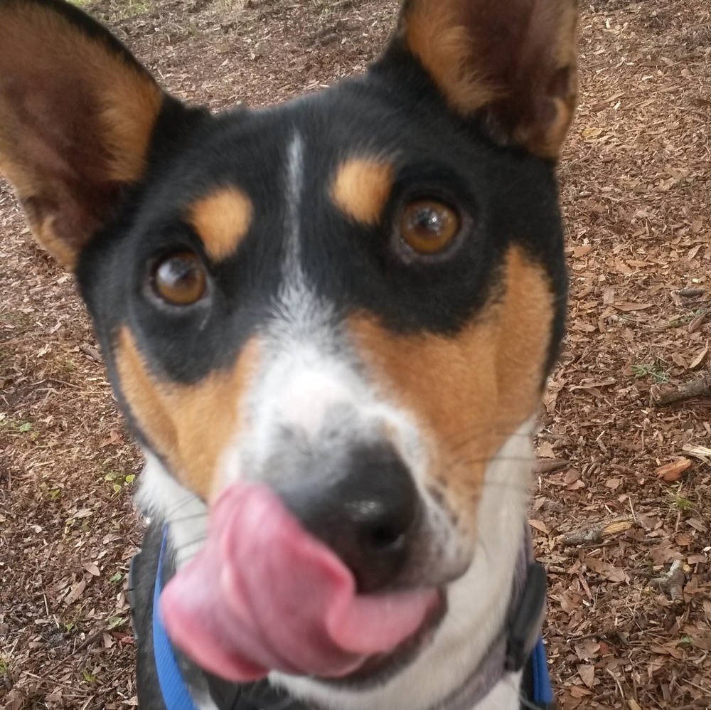 Meet your Posher, Florida